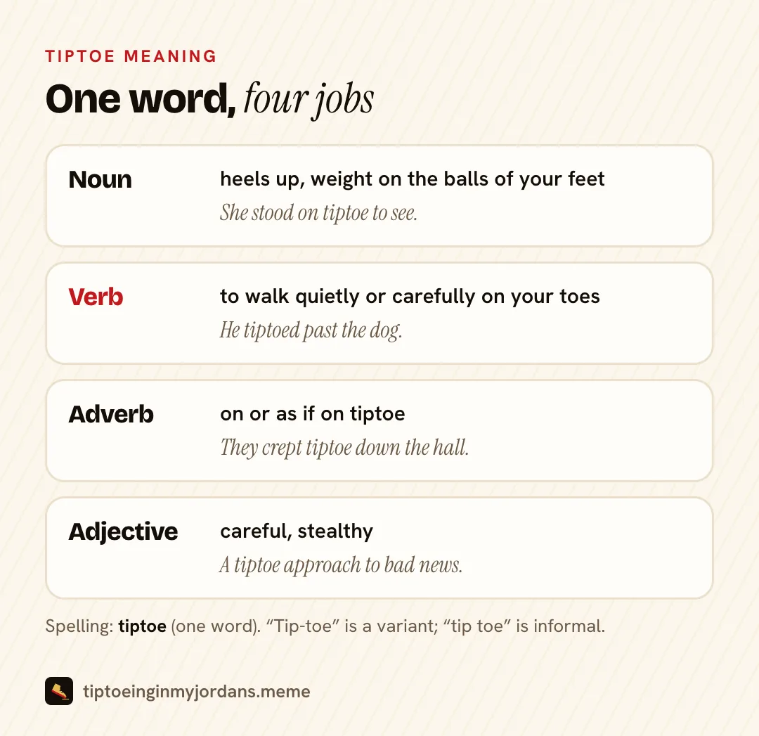 Tiptoe meaning as a noun, verb, adverb and adjective, with example sentences